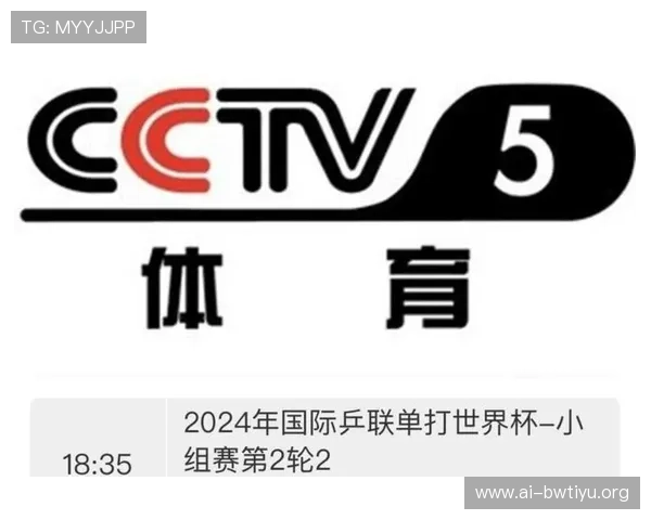CCTV体育在线直播平台的用户评价与反馈，帮助你选择最适合的观看方式